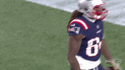 excited 2018 nfl GIF by New England Patriots