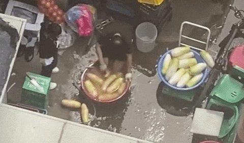 seotor_7 giphyupload GIF