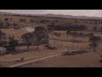 GIF by Giffffr