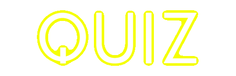 pink logo Sticker by Quiz Clothing