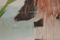 GIF by TUI Nederland