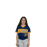 Clarke Softball Sticker by Clarke University