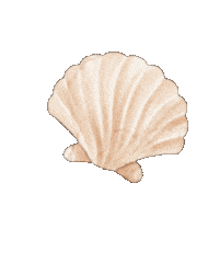 Illustration Sticker Sticker