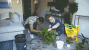 youtube house GIF by tyler oakley