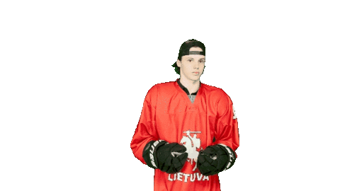 Hockey Liiga Sticker by ledoritulys.lt