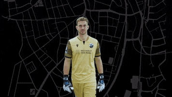 Svs1916 GIF by SV Sandhausen