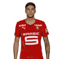 Football Celebration Sticker by Stade Rennais F.C.