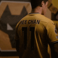 Premier League Football GIF by Wolves