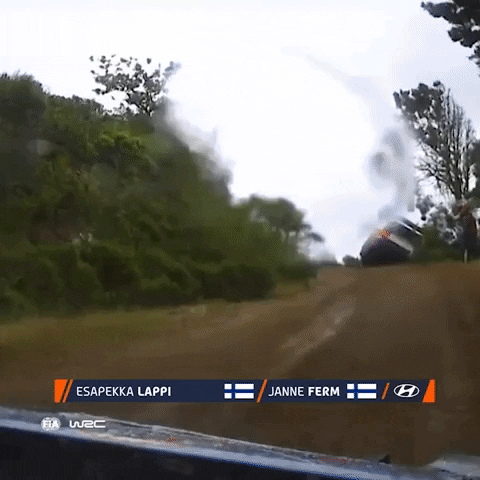 Sport Driving GIF by FIA World Rally Championship