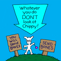 i love dogs GIF by Chippy the Dog