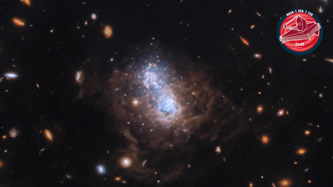 James Webb Nasa GIF by ESA Webb Space Telescope