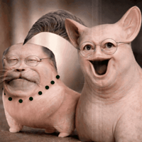 Korea President GIF