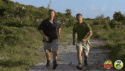 wild kratts hello GIF by PBS KIDS