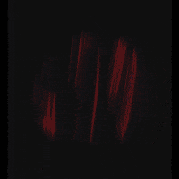 transmoderna_ transmoderna GIF