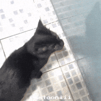 natooniii natooniii GIF