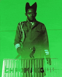 Tylerthecreator GIF by Respective