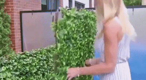 alea28 giphygifmaker GIF