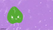 Aapi Cooking GIF by Tofu Riot