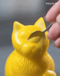 Mood Feels GIF by Darwin