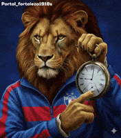 Fortaleza Esporte Clube Tempo GIF