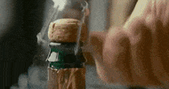Alcohol Partying GIF