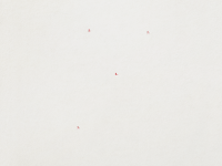 typography tattoo GIF by Brikk