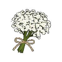 Flower Beutiful Sticker