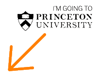 Princeton 2030 Sticker by Princeton University
