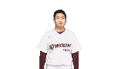 키움히어로즈 Sticker by Kiwoom Heroes Baseball Club