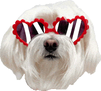 Love You Dog Sticker by HammyandBrody