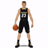 Orlando Magic Basketball GIF by Panini America