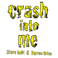 Steve Aoki Sticker by Darren Criss