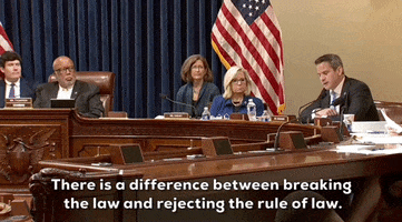 January 6 GIF by GIPHY News