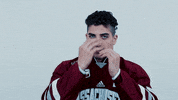 ncaasports hockey college ncaa ice GIF