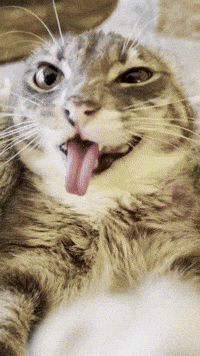 6 7 GIF
