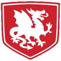 Dragoes Sticker by AAAPO - Atlética Engenharia UFF