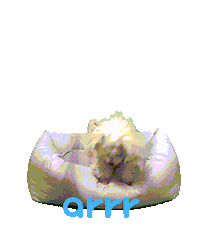 아르르 Sticker by arrr_official