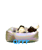 아르르 Sticker by arrr_official