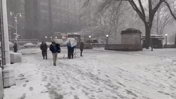 Heavy Morning Snow Seen in Manhattan as Storm Moves In