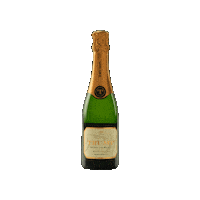 Champagne Sparklingwine Sticker by Trump Winery