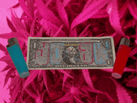 YOAK-YA money dollar ya yoak GIF