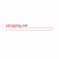 SzczytnyCel cel sukces szczytnycel szczytny cel GIF