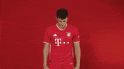 GIF by Bundesliga