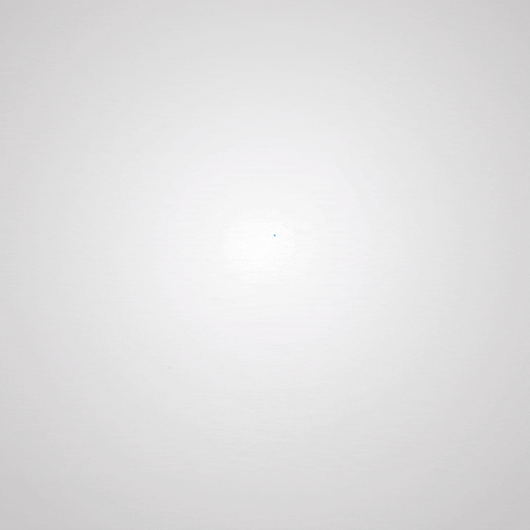 elondao crypto twitter cryptocurrency social GIF