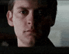 Happy Tobey Maguire GIF
