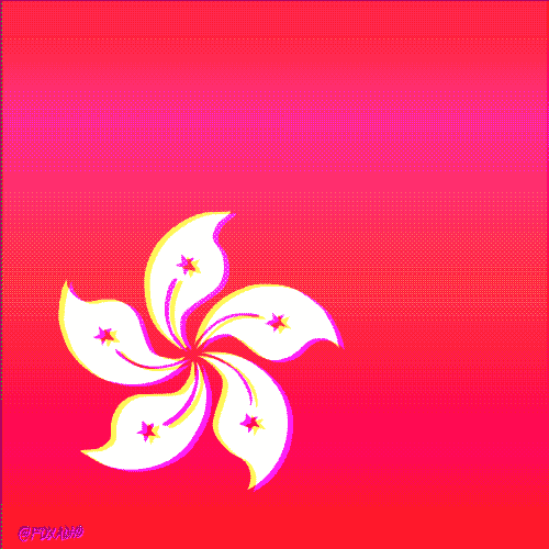 hong kong artists on tumblr GIF by Animation Domination High-Def