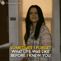 cbc comedy life cbc schittscreek GIF