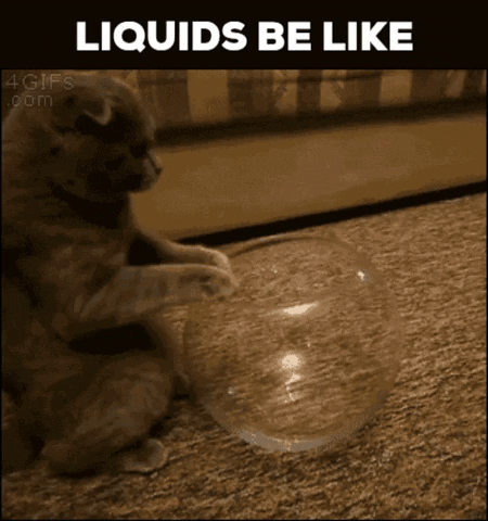 Nazertazer giphygifmaker giphyattribution seneca senecalearning GIF