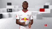 Well Done Applause GIF by Bundesliga