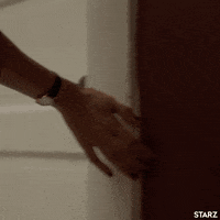 house starz GIF by Vida